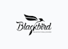 creative modern custom bird, crow, blackbird logo design