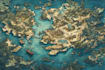 do map illustration map design fantasy map