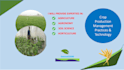 create, edit, and format microsoft word document