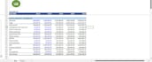 deliver ai business financial consultancy,strategy,modeling