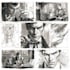 do comics book pages, storyboards, illustrations