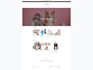 complete shopify store setup, design, redesign and development
