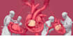 draw exercise, medical and anatomy illustrations