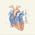 do medical and scientific illustrations
