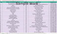 do data entry ,copy paste, pdf to excel data entry