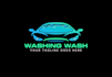 draw auto detailing and car wash logo