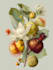 do botanical illustration with scientific focus