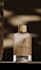 design luxury perfume bottle models and studio renders