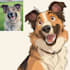 draw pet portrait into cartoon disney