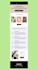 build responsive outlook html email template