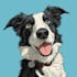 draw you and your pet into cute cartoon