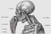 draw exercise, medical and anatomy illustrations