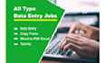 do data entry , manual data entry, pdf to excel