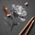 paint watercolour botanical illustrations