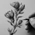 draw botanical illustrations of flowers