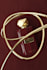 create 3d perfume bottle animation video ads, 3d product animation video