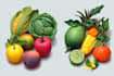 draw realistic plants, vegetables, fruits