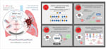 create professional scientific illustrations, graphic abstracts, or posters