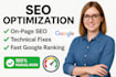 complete on page technical SEO and google ranking optimization