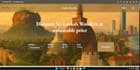 do web development and programming