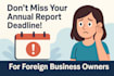 file your US llc or inc annual report for foreign company owners