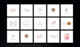 design editable canva logo within 24 hours