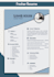 create a professonal CV design as an expert cv maker