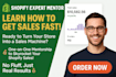 be your shopify mentor dropshipping coach shopify consultant shopify expert