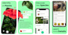 develop high quality native ios and flutter apps