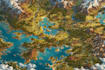 make a custom fantasy map illustration with castles