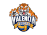 design awesome professional tiger mascot logo