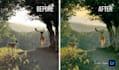 make your photo looks professional