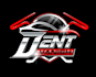 do a creative professional dent removal logo