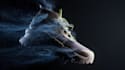 do 3d shoe animation 3d sandal 3d mattress 3d bag 3d watch animation shoe produt