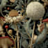 draw realistic scientific botanical illustration