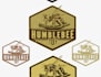 design a professional modern bee logo