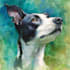 paint dog, cats, whatever pet portrait with watercolor