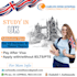 create flyer and brochure design