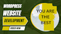 build or rebuild website, website development as full stack web developer