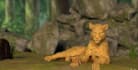 do any 3d animal model 3d character animation creature xgen vfx composting cgi