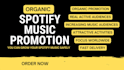 promote your spotify music to real audience