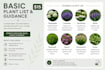 design a custom flower bed with a planting plan