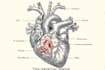 draw exercise, medical and anatomy illustrations