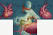 make highly customised medical and anatomy illustrations