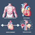 draw exercise, medical and anatomy illustrations