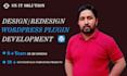 build a custom wordpress website, theme or plugin