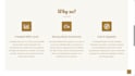 web development and designing