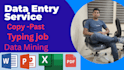data entry operator pdf to word