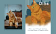 create a custom cartoon pet portrait gift  from your photo