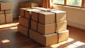 consolidate your different samples in one box china sample consolidation